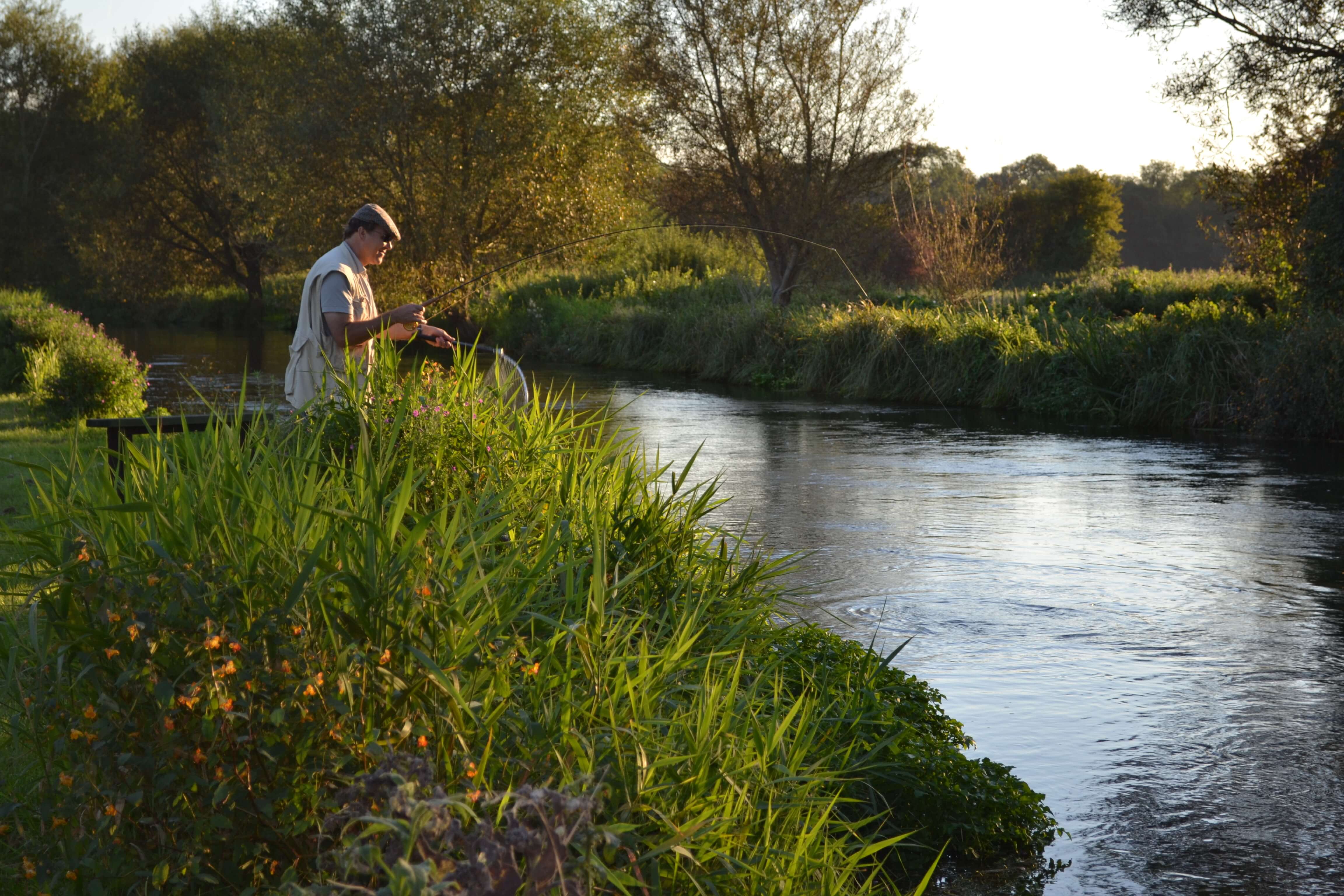 Man fishin for trout