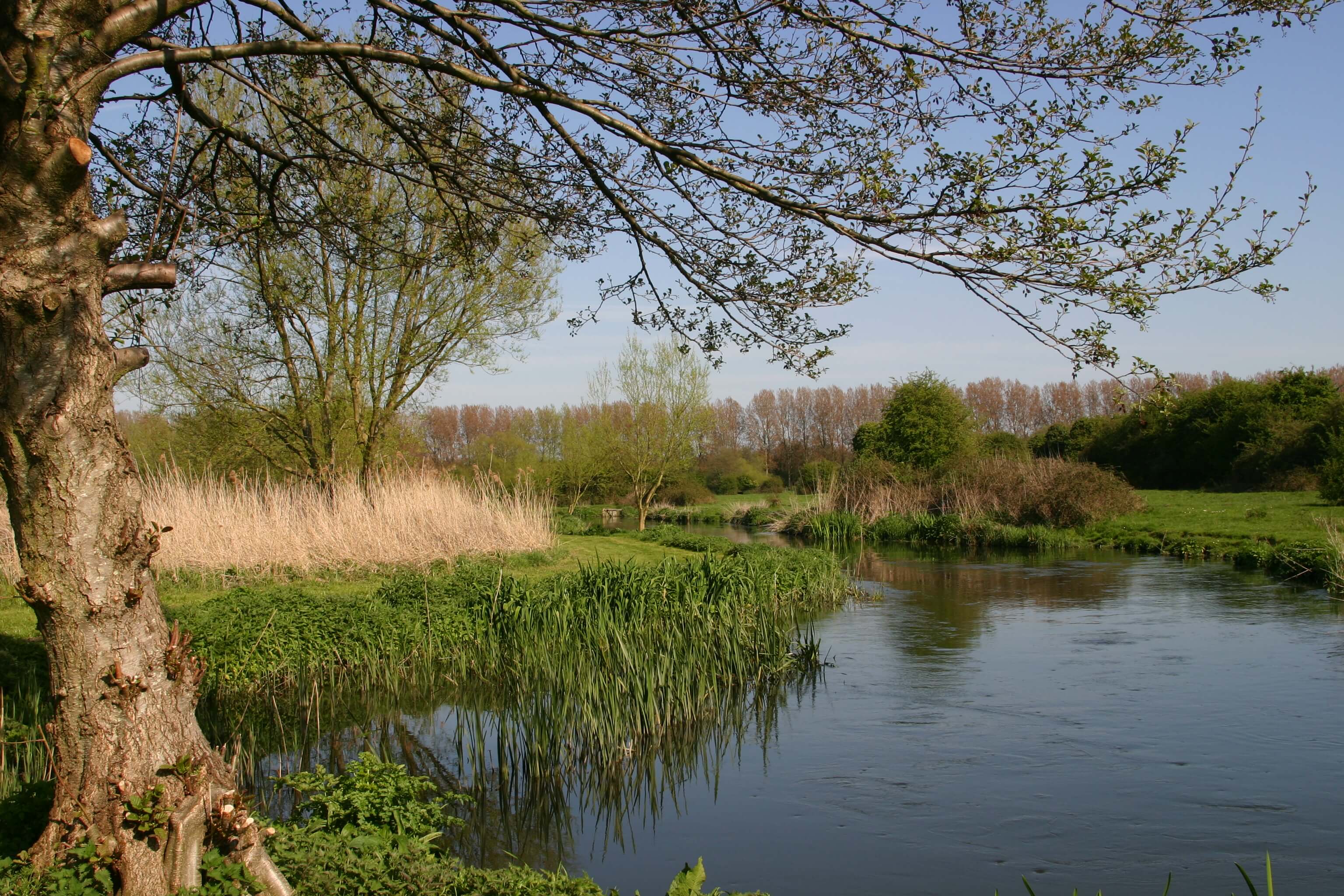 River