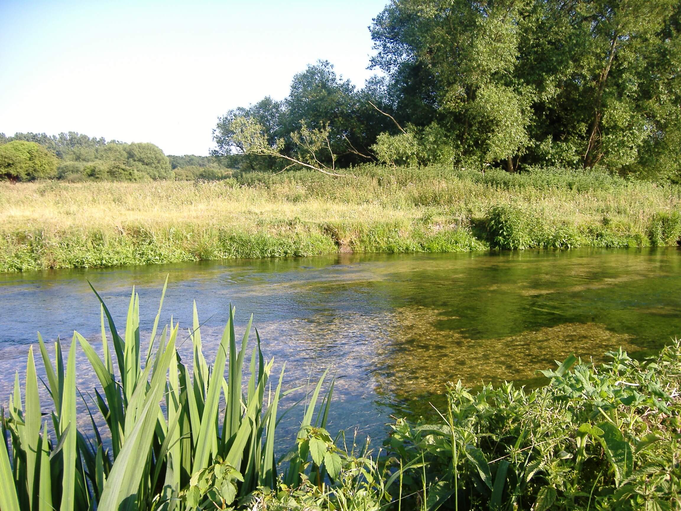 River