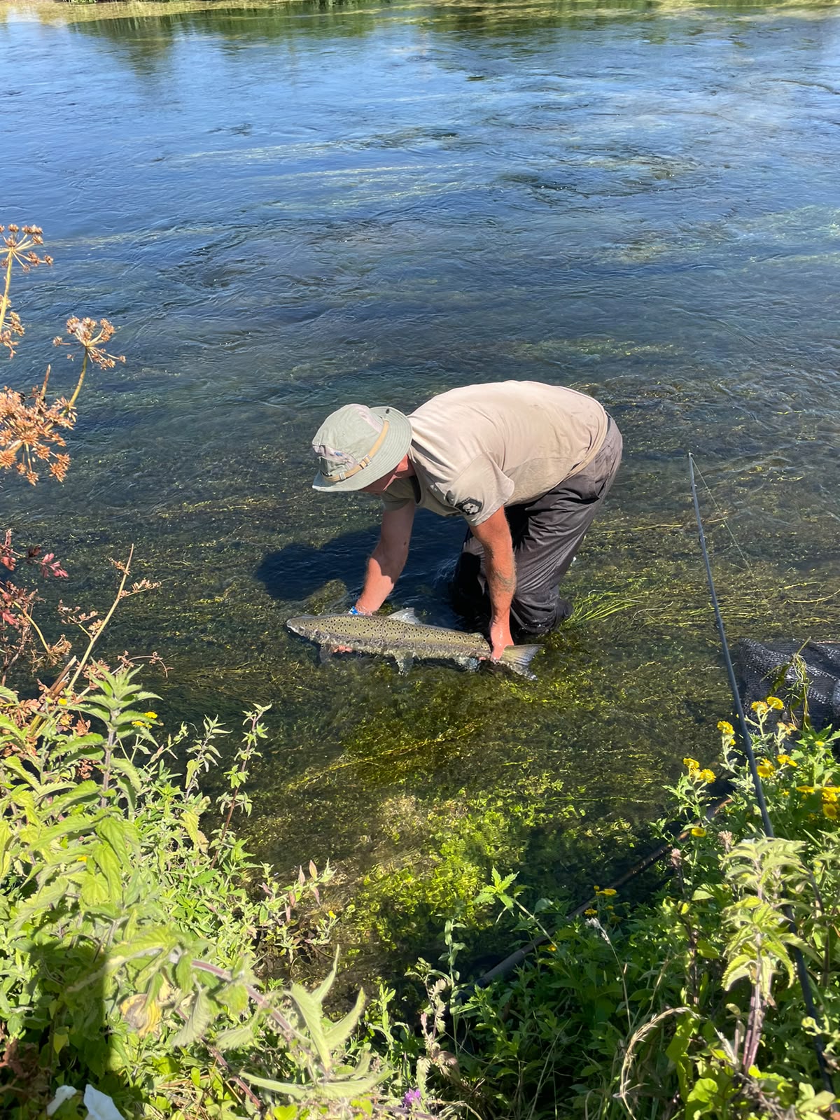 Man holding Salmon