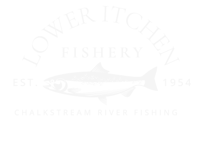 banner logo